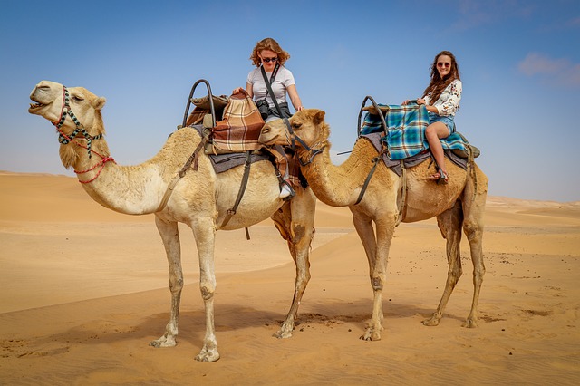 camel-ride-africa-desert